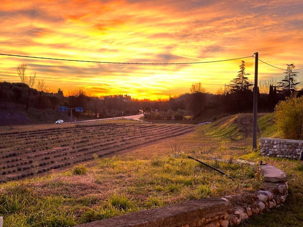 Agriturismo Al Mancino ロナート エクステリア 写真